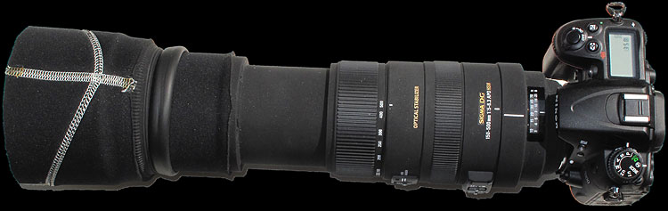 Sigma 150-500mm Review