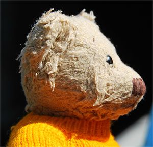 Original teddy bear image