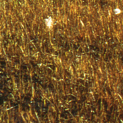 Crop 1 from the 6x6 canon 8600F scan