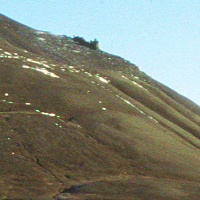 Crop 2 Canon 8600f
