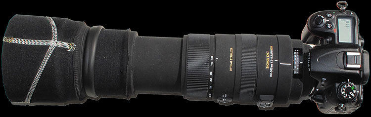 Nikon D7000 with a Sigma 150-500mm OS lens + D.I.Y lens protection